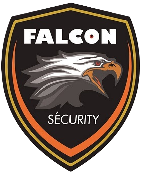 Falcon Security Logo